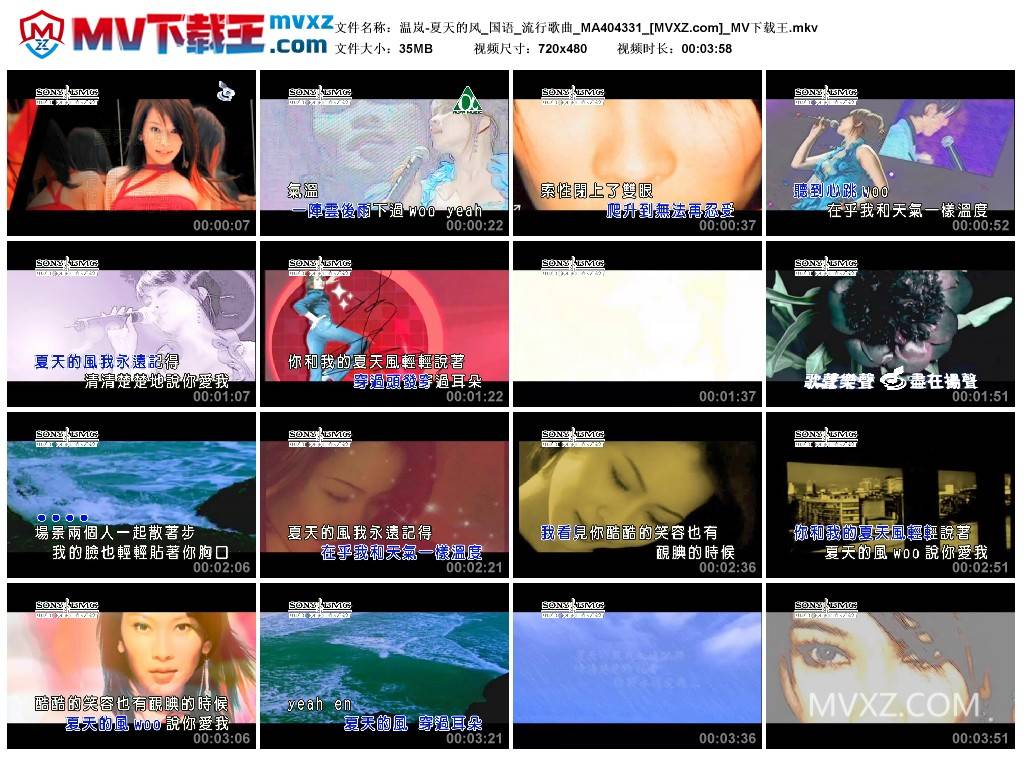 温岚-夏天的风_国语_流行歌曲_MA404331